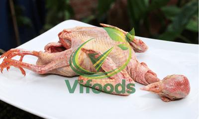 Bồ Câu Ra Ràng Làm Sạch 300gr/con