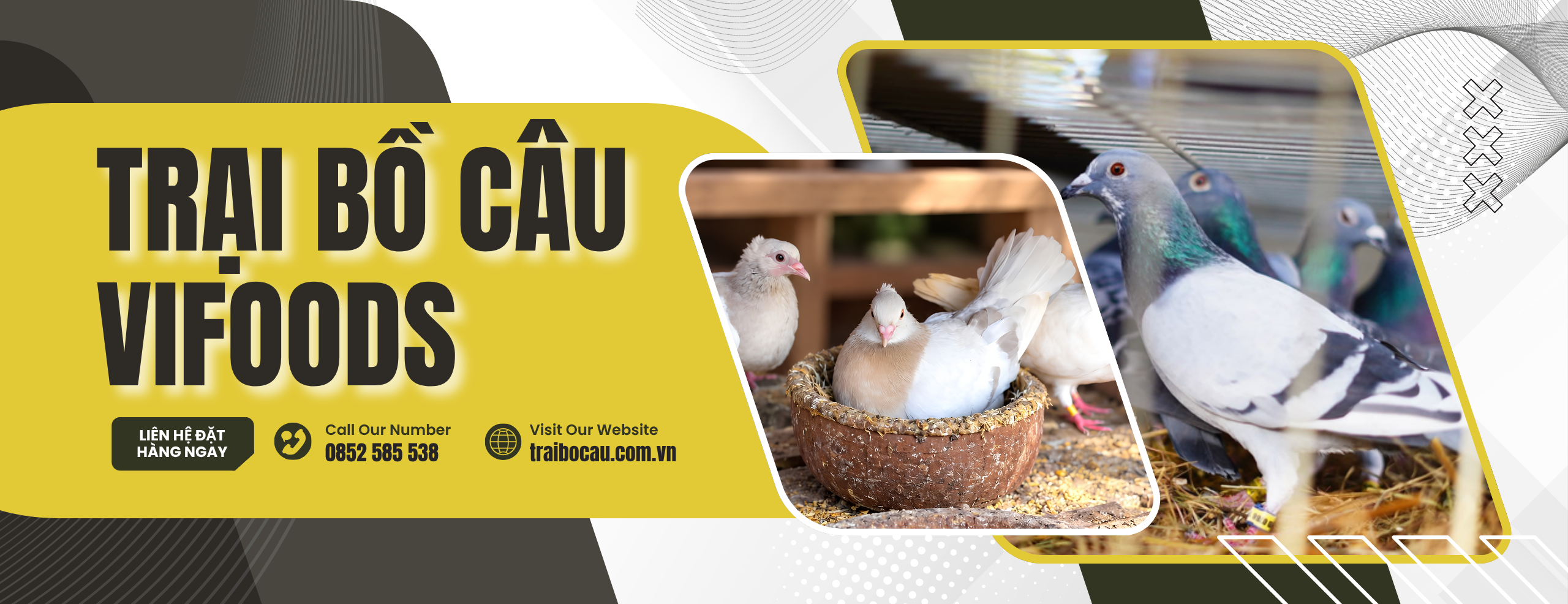 Trại bồ câu